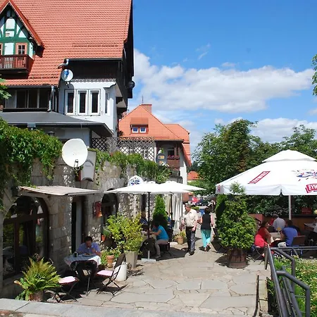 Parkowy W Polanicy Zdroj Daire Polanica-Zdroj